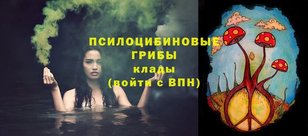 прущая мука Богданович