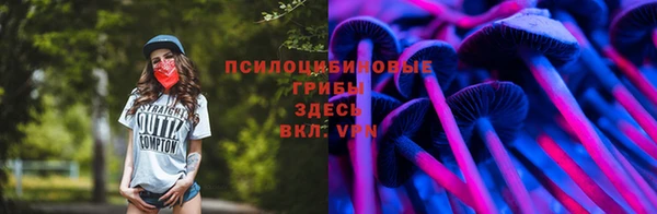 прущая мука Богданович
