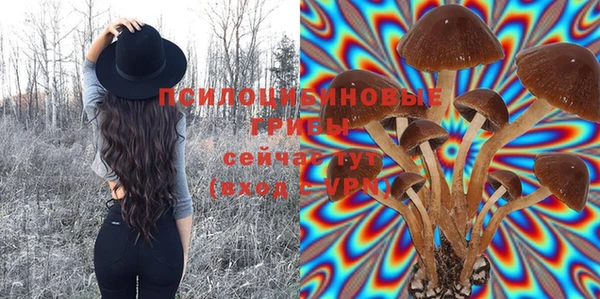 прущая мука Богданович
