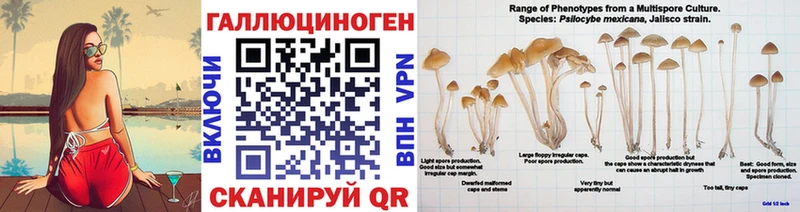 omg зеркало Дудинка Псилоцибиновые грибы прущие грибы